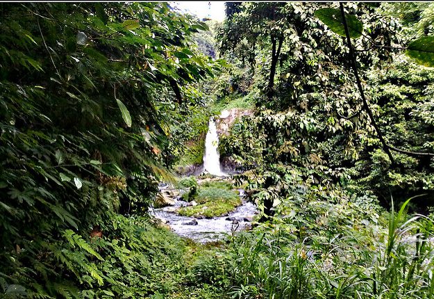 The twin Carat Waterfalls in Bali