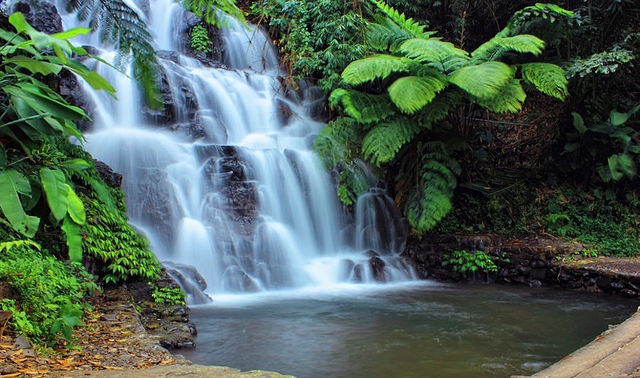 Jembong Waterfall has a beautiful 15-metre-high cascade of water flowing down mossy rocks 